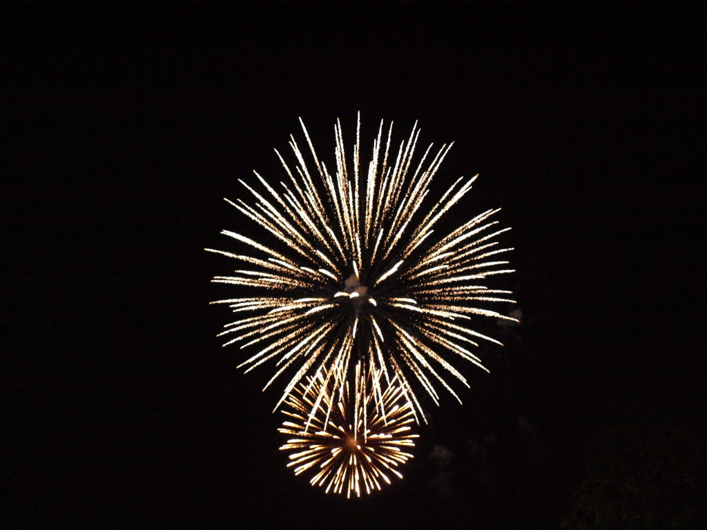 Fireworks - 3-11-2014 Sara Henning-Stout (c)